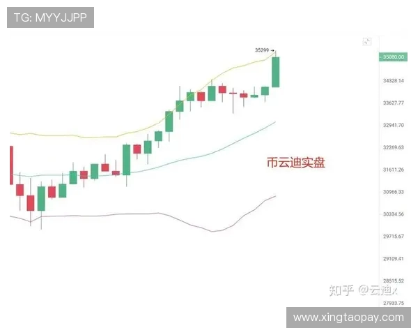 武汉羽毛球队防守策略深度解析及其在比赛中的应用探讨